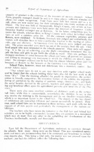 4443_OBJ-Thumbnail Image.jpg