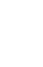 4453_OBJ-Thumbnail Image.jpg