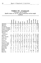 44679_OBJ-Thumbnail Image.jpg