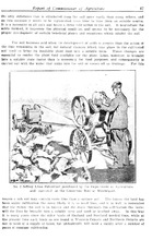 44749_OBJ-Thumbnail Image.jpg