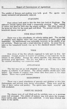 44751_OBJ-Thumbnail Image.jpg