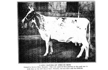 44829_OBJ-Thumbnail Image.jpg