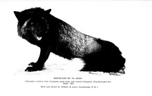44849_OBJ-Thumbnail Image.jpg