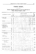 44994_OBJ-Thumbnail Image.jpg