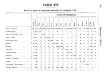 45055_OBJ-Thumbnail Image.jpg
