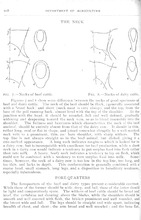 45134_OBJ-Thumbnail Image.jpg