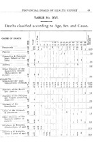 45215_OBJ-Thumbnail Image.jpg