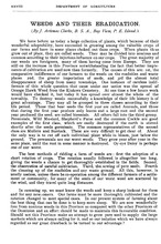 45378_OBJ-Thumbnail Image.jpg