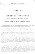45384_OBJ-Thumbnail Image.jpg
