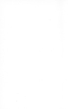 45420_OBJ-Thumbnail Image.jpg