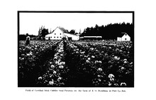 45572_OBJ-Thumbnail Image.jpg