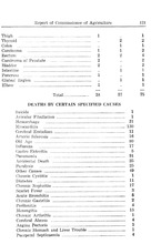 45593_OBJ-Thumbnail Image.jpg