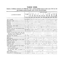 45625_OBJ-Thumbnail Image.jpg