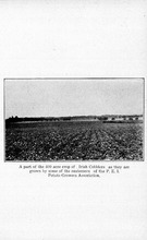 45761_OBJ-Thumbnail Image.jpg