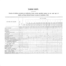 45779_OBJ-Thumbnail Image.jpg