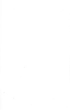 45941_OBJ-Thumbnail Image.jpg