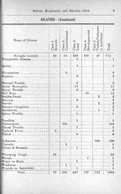 45947_OBJ-Thumbnail Image.jpg