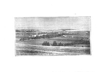 46050_OBJ-Thumbnail Image.jpg