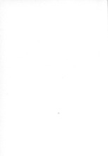 46077_OBJ-Thumbnail Image.jpg