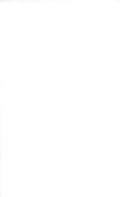 46277_OBJ-Thumbnail Image.jpg