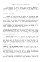 46441_OBJ-Thumbnail Image.jpg