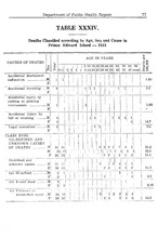 46452_OBJ-Thumbnail Image.jpg