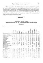 46518_OBJ-Thumbnail Image.jpg