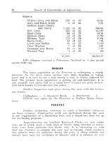 46667_OBJ-Thumbnail Image.jpg