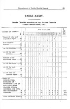 46766_OBJ-Thumbnail Image.jpg