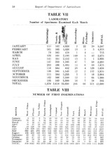 47381_OBJ-Thumbnail Image.jpg