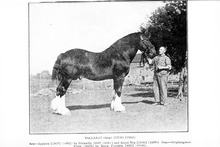 47771_OBJ-Thumbnail Image.jpg