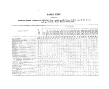 47778_OBJ-Thumbnail Image.jpg