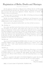 47794_OBJ-Thumbnail Image.jpg
