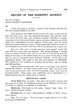 4780_OBJ-Thumbnail Image.jpg