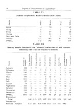 47861_OBJ-Thumbnail Image.jpg