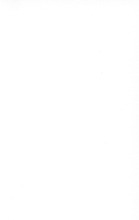47935_OBJ-Thumbnail Image.jpg