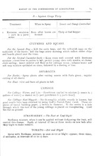 47947_OBJ-Thumbnail Image.jpg
