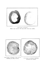 47961_OBJ-Thumbnail Image.jpg