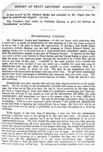 48048_OBJ-Thumbnail Image.jpg