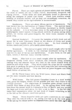48119_OBJ-Thumbnail Image.jpg
