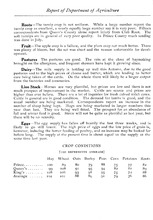 48169_OBJ-Thumbnail Image.jpg