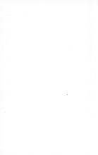 48336_OBJ-Thumbnail Image.jpg