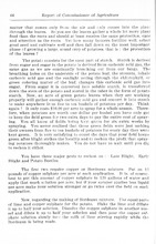 4834_OBJ-Thumbnail Image.jpg