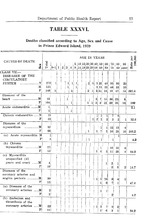 48405_OBJ-Thumbnail Image.jpg