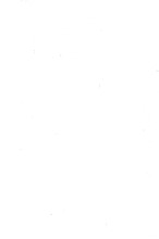 48449_OBJ-Thumbnail Image.jpg
