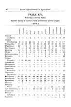 48512_OBJ-Thumbnail Image.jpg