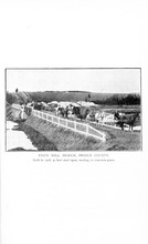 48642_OBJ-Thumbnail Image.jpg