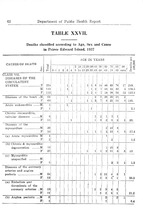 48650_OBJ-Thumbnail Image.jpg