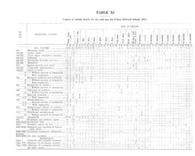 48759_OBJ-Thumbnail Image.jpg