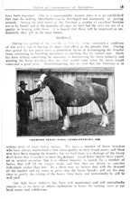 49162_OBJ-Thumbnail Image.jpg